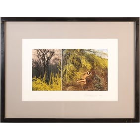 Sam Haskins 2009, Signed and Gallery Framed Photograph Nude Woman Lying on Back in Landscape
