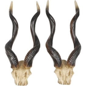 Design Toscano Kudu African Wall Trophy Antlers - Resin Composition 17 in. length