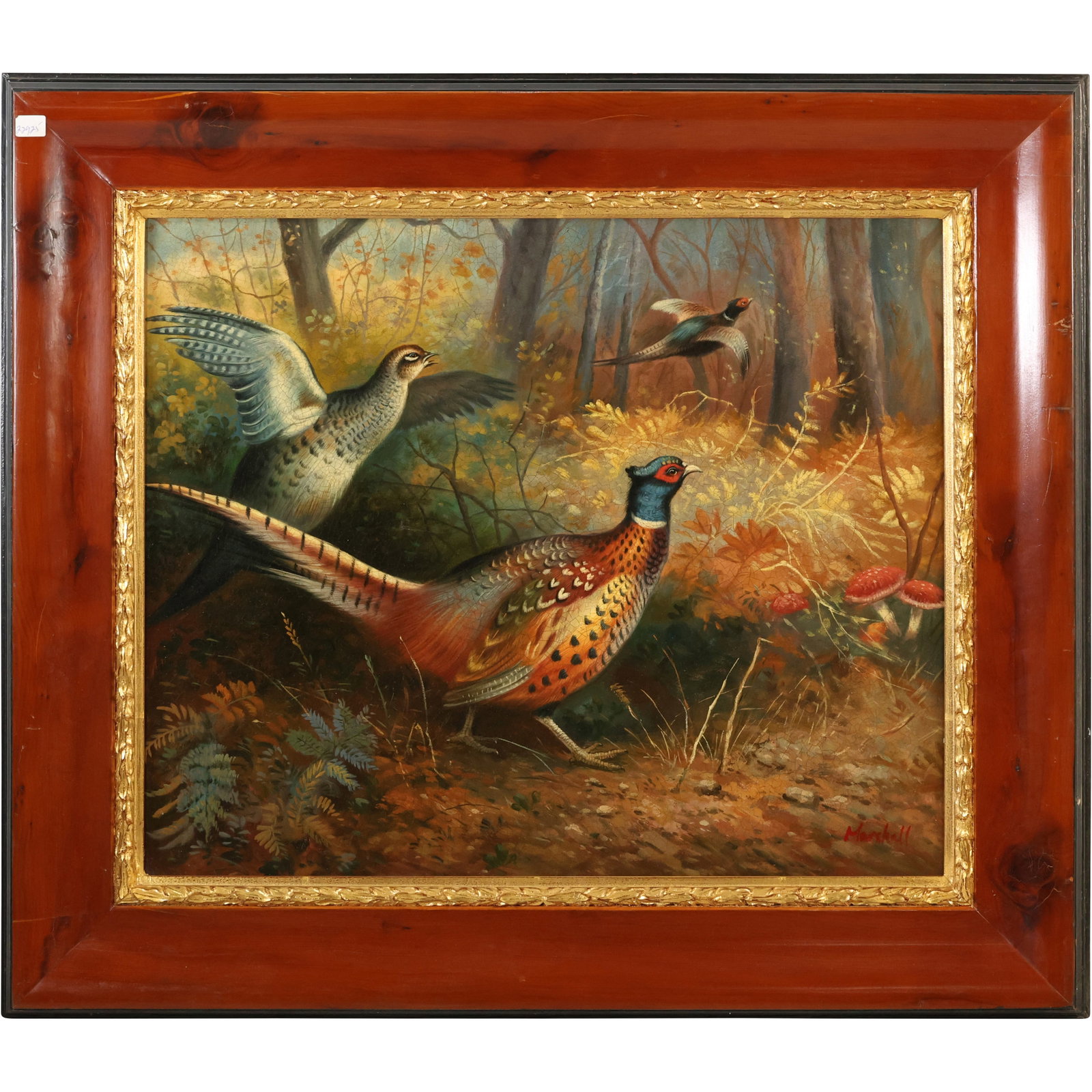 Signed Marshall, Fine Quality 20th C. Oil on Canvas Painting Pheasants in Natural Setting, Framed: Signed Marshall, Fine Quality 20th C. Oil on Canvas Painting Pheasants in Natural Setting, Framed; size: 20 x 23.5 outsdie frame 28 x 32