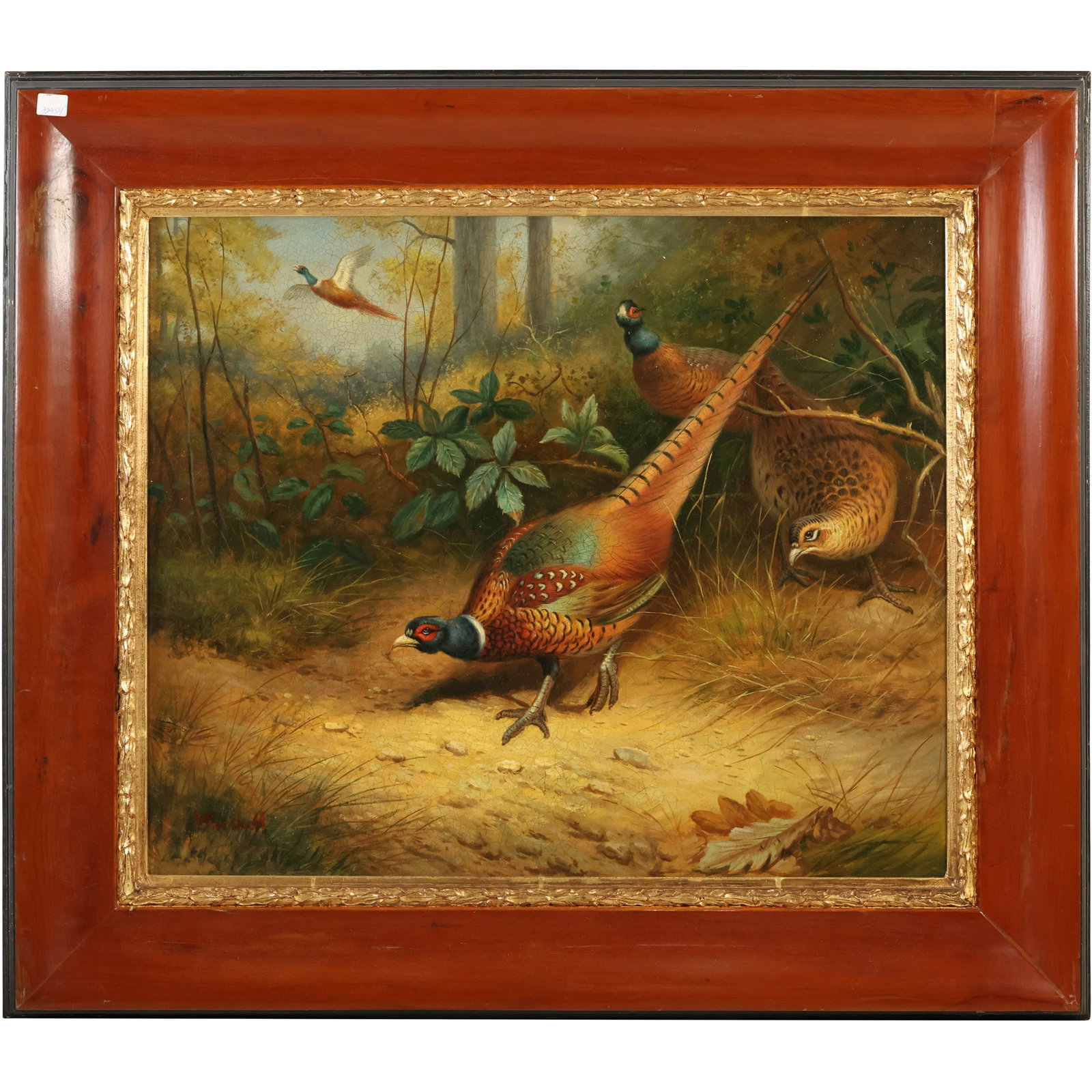 Signed Marshall, Fine Quality 20th C. Oil on Canvas Painting Pheasants "Edge of The Woods" , Framed: Signed Marshall, Fine Quality 20th C. Oil on Canvas Painting Pheasants "Edge of The Woods" , Framed. size: 20 x 23.5 outsdie frame 28 x 32