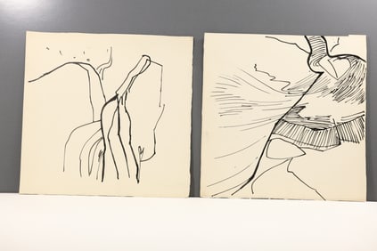 Lot of 2 Robert Angeloch Ink Drawings on Arches Paper Abstract Landscape Studies Unsigned