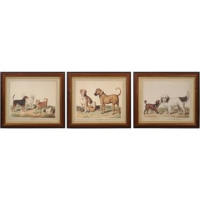 set of three framed polychrome prints domestic dog breeds by British artist Sydenham Edwards.