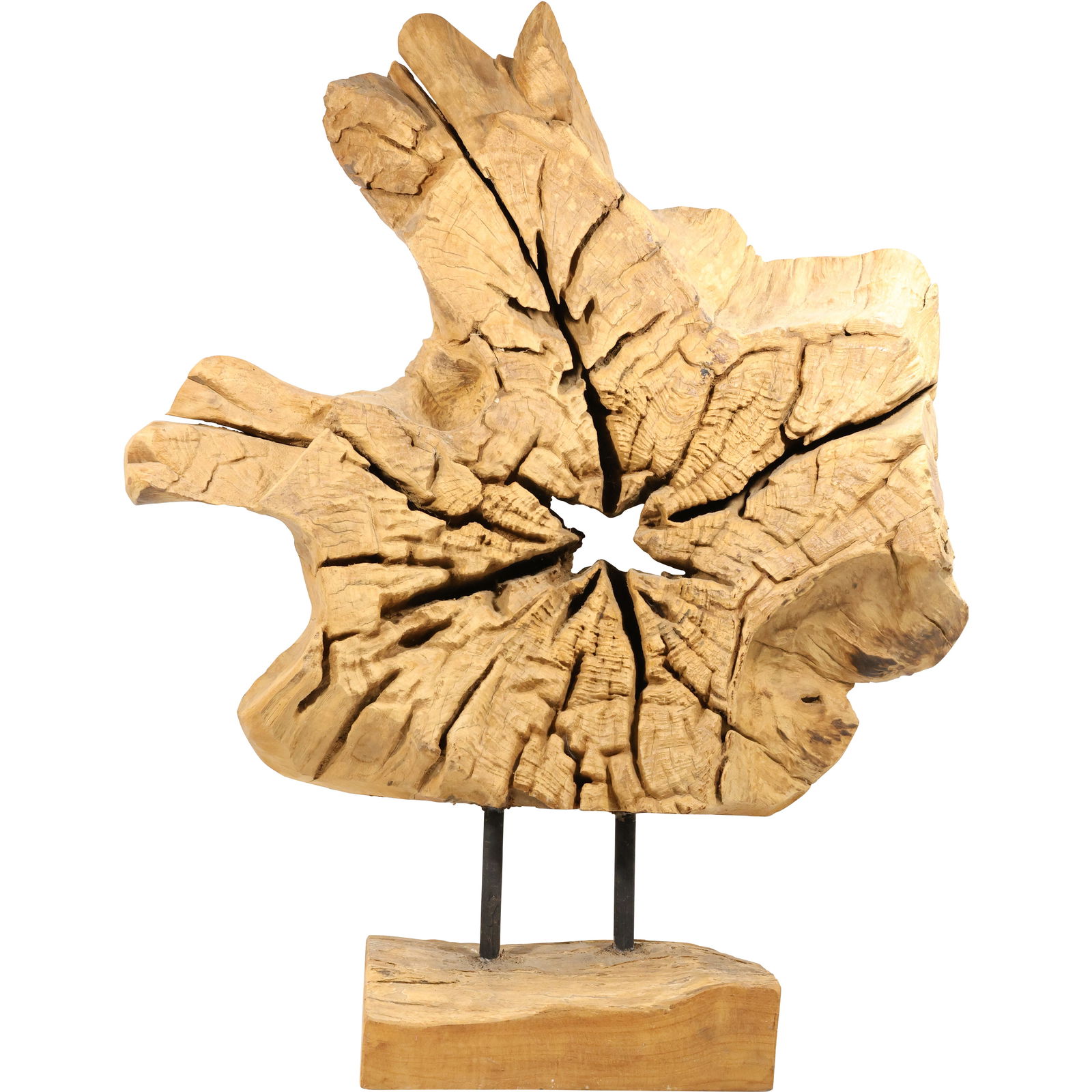 natural teak wood root slice sculpture on a stand. 30 inches hreight x 24 inches wide (1 of 20)