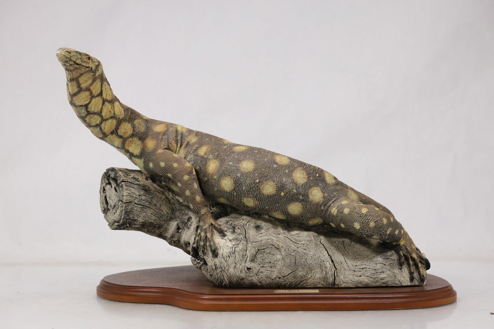 Perentie Goanna Monitor Lizard Sculpture: Large sculptural model of a spotted perentie goanna monitor lizard posed across a textured rock form on an oval wood plinth. A brass tone plaque on the base identifies the subject as Perentie Goanna. 