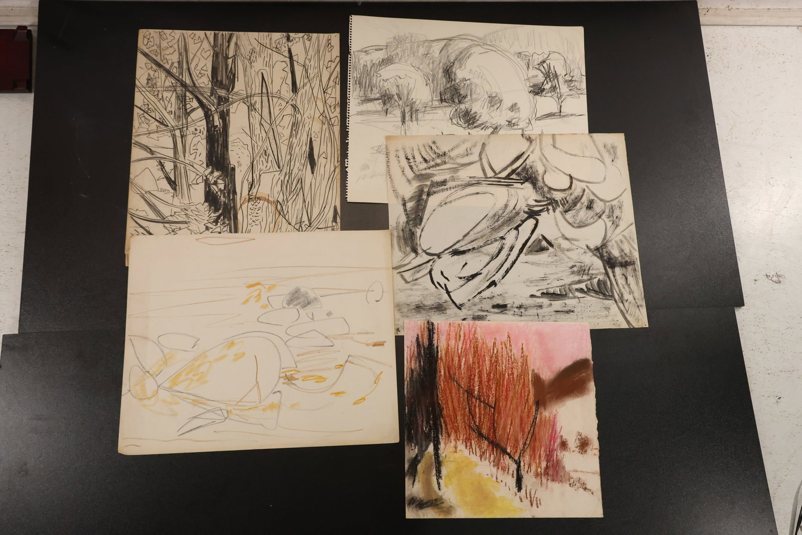 R. Angeloch Group of Landscape and Abstract Studies: A group of drawings on paper by R. Angeloch featuring woodland, rock, and abstract subjects. Predominantly dark line work is accompanied by selected red and yellow accents. Size: 14 x 17 inches. Shelf