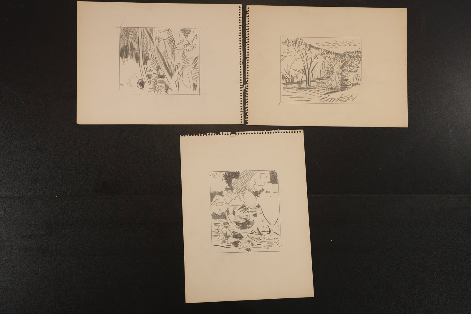 R. Angeloch Three Small Landscape and Abstract Sketches: A group of three small sketches by R. Angeloch, depicting wooded scenery and abstract natural forms. Presented on individual light-colored sheets. Size: 12 x 9 inches. Shelf ID: abx **Pickup Notice:**