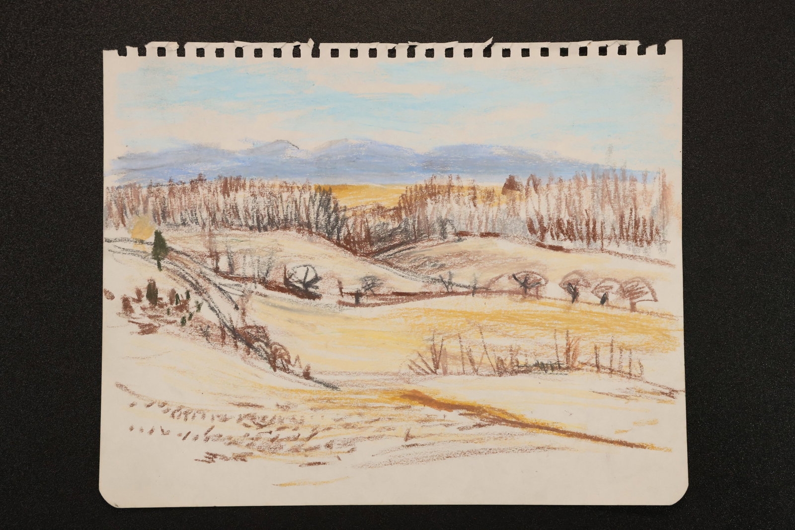 R. Angeloch Catskill Landscape Drawing on Sketchbook Paper: A landscape drawing by R. Angeloch on spiral-bound sketchbook paper. Pale fields, bare trees, and distant blue hills form a broad rural view, cataloged as a Catskill Mountain scene. Size: 8 x 10 inche
