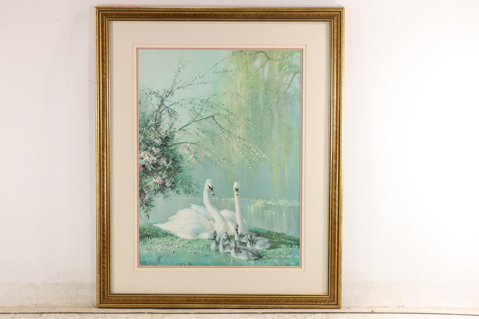 Vernon Ward A Family in the Park Swan Print: Color reproduction after Vernon Ward depicting two white swans and their cygnets beside a quiet pond, framed by delicate trees and soft green foliage. The printed signature appears at lower right. An 