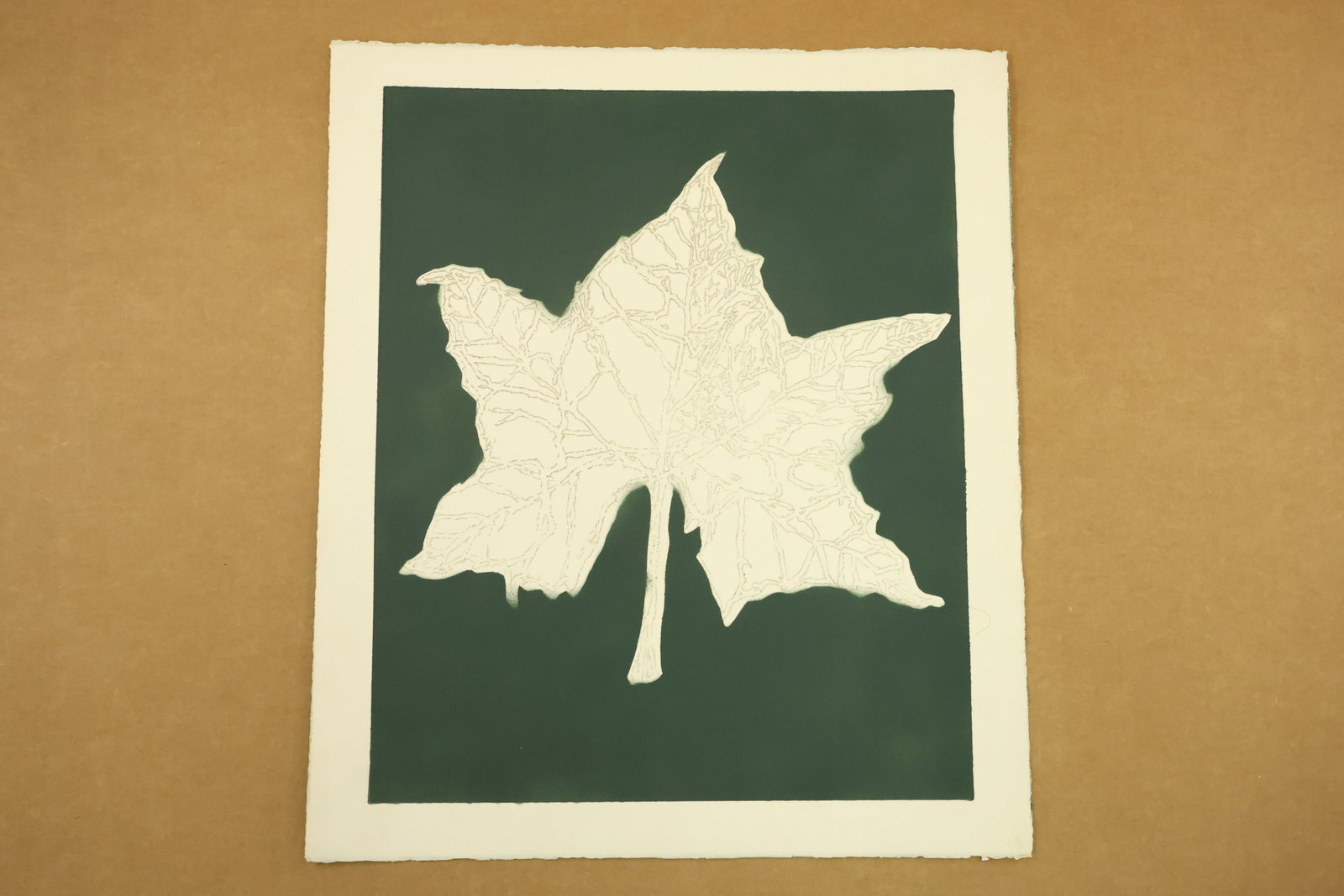 Pale Leaf on Dark Green Print Attributed to Peter Passuntino: Print on paper depicting a pale lobed leaf and slender stem against a dark green rectangular field. Delicate branching lines fill the leaf silhouette. Unsigned in the supplied views and attributed to 