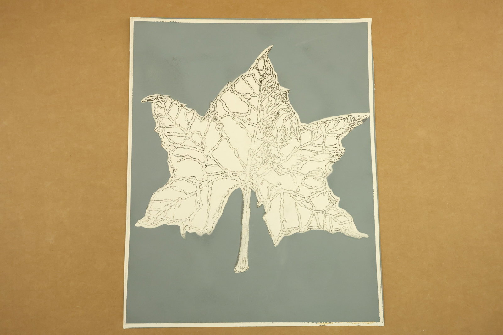White Leaf on Gray Print Attributed to Peter Passuntino: Print on paper with a white lobed leaf against a blue gray rectangular ground. Dark branching lines trace an irregular network across the leaf and down its stem. Unsigned in the supplied views and att