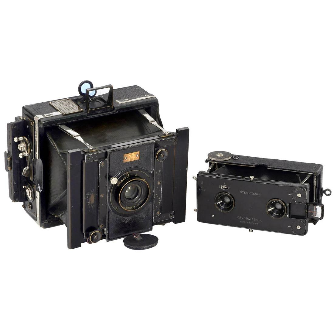 Tropical Ango and Stereotenax Cameras (1 of 2)