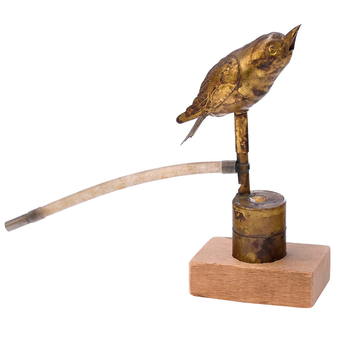 The Photographer's Birdie, c. 1900 (1 of 1)