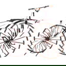 Michauline French Bicycle, c. 1869