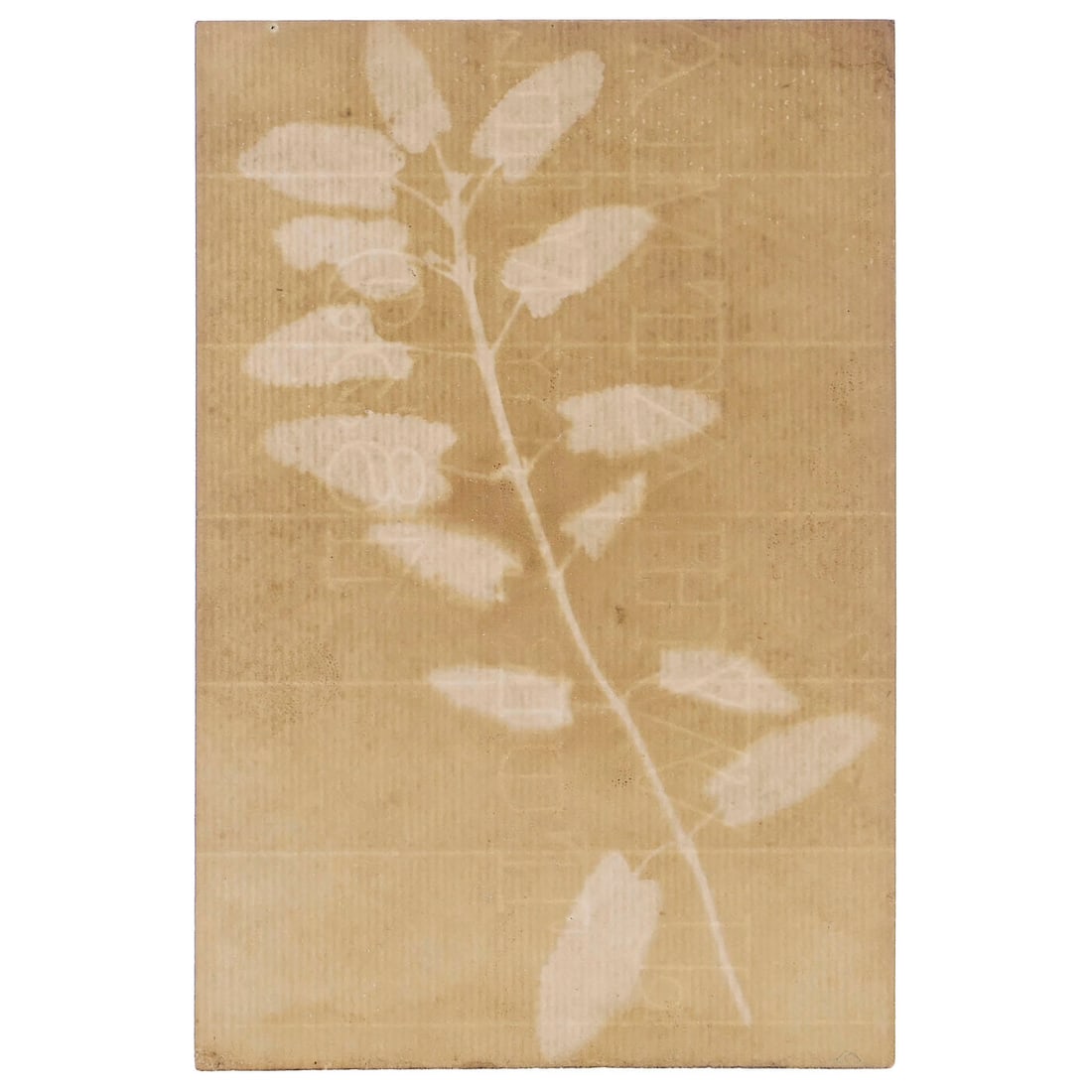 Photogenic Drawing by William Henry Fox Talbot, 1839: Photogenic Drawing by William Henry Fox Talbot, 1839 Forerunner of the Calotype process by Talbot of London. Paper size 10.5 x 16 cm. Paper watermarked: "J. Whautm. Turkey Mill 1839." Complete waterma