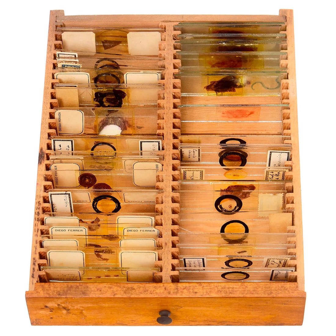 Microscope Slide Cabinet, 20th Century - 2