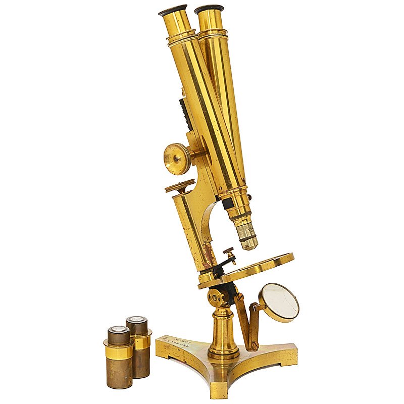 Compound Binocular Microscope by R. & J. Beck, c. 1880: Compound Binocular Microscope by R. & J. Beck, c. 1880 Signed on the base "R. & J. Beck, London, 14026". Original lacquered brass, rack-and-pinion coarse adjustment, micrometer fine adjustment, adjust