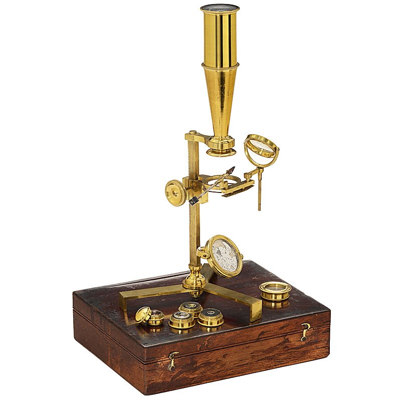 Early English Compound Microscope, c. 1810: Early English Compound Microscope, c. 1810 Unmarked, lacquered brass, flat folding tripod, rack-and-pinion focusing to the stage, spring clips, 2 openings for condenser and forceps, single mirror, tub