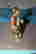 item-38430631=5