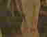 item-57653305=4