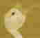 item-57653309=6