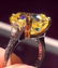 Yellow Color Diamond Ring - 4