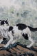 XU BEIHONG (1895-1953) CAT - 3