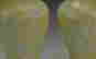 item-44333399=4