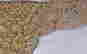 item-50900361=6