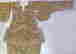 item-50900361=8