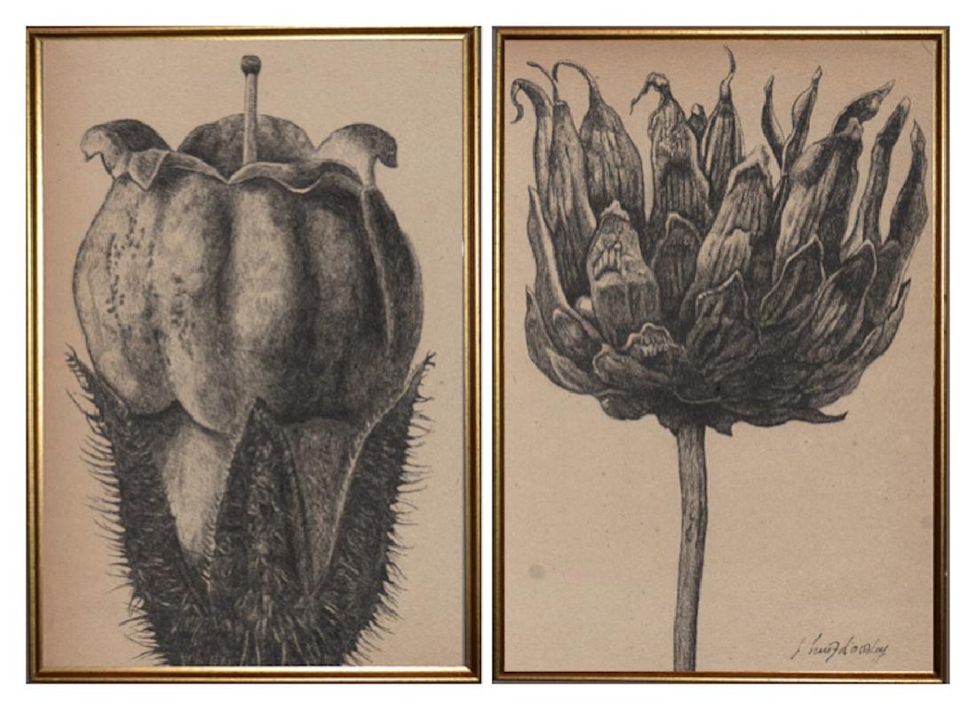 J. HNIZDOVSKY 1915-1985 Ukrainian - Russian - American (1 of 10)