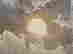 item-113461837=3