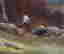 item-113461846=6