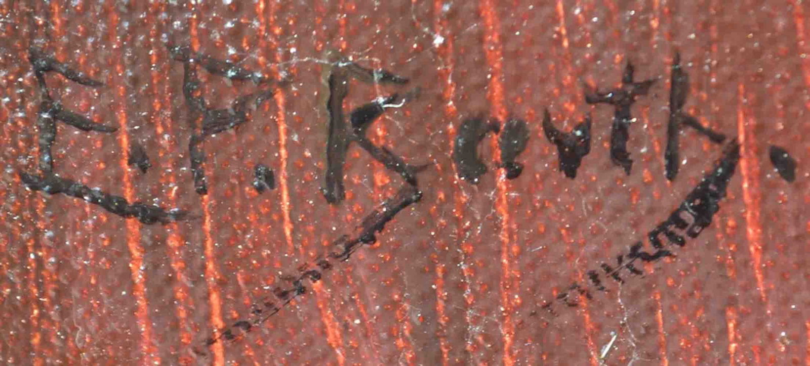 Elizabeth Piutti BARTH (1872-1959) American