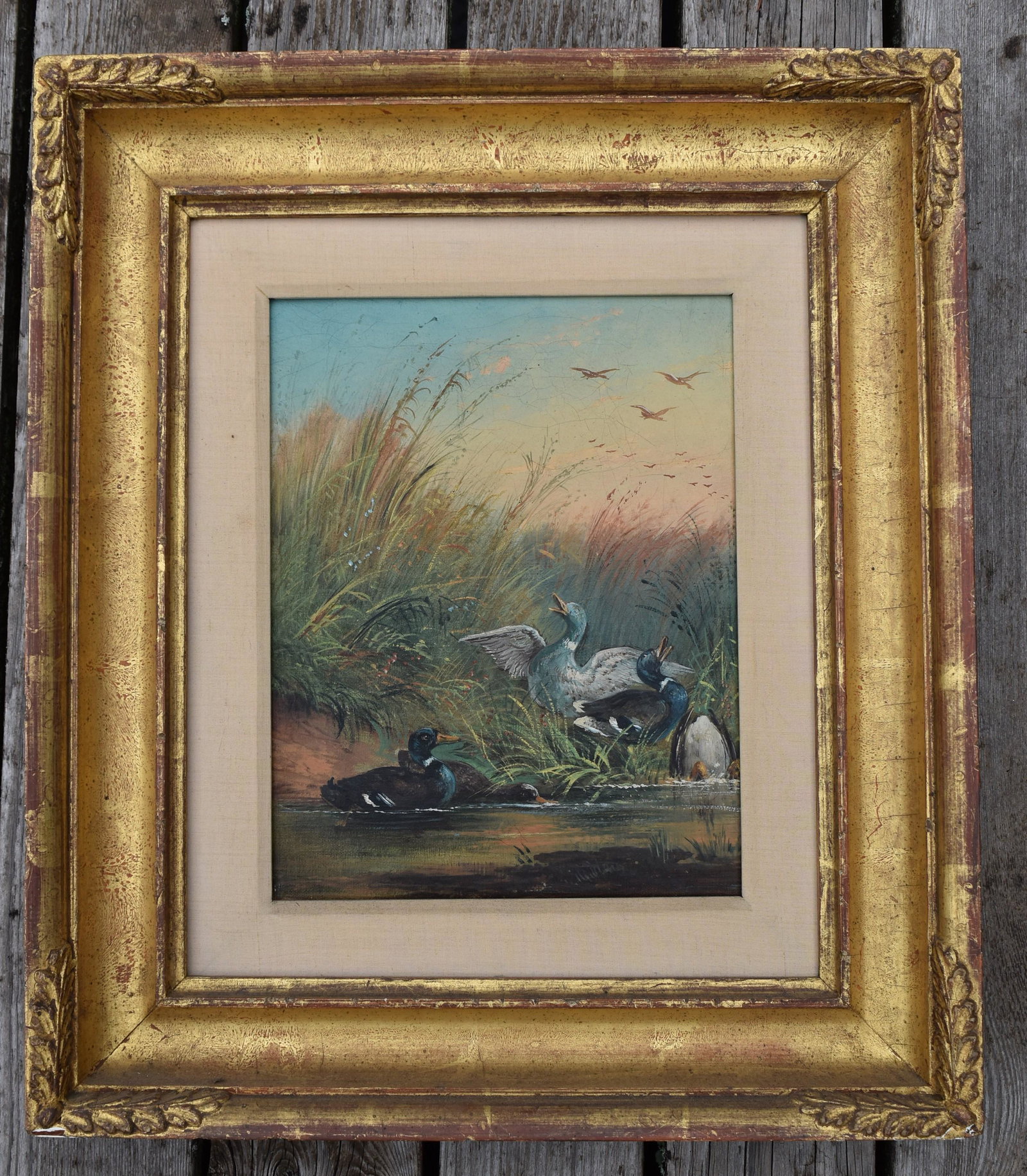 19th C American School, Mallard ducks: in marsh, oil on canvas, fine gilt carved linen lined frame. Sight size: 10” x 7 ¾” Overall: 17” x 14 ¾”