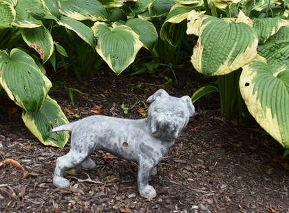 RARE SMALL ANTIQUE ZINC BULLDOG GARDEN STATUE: The bull dog standing with head turned. Cast in halves with period iron bolt and nut. Height 9 1/2" Length 10 3/4"