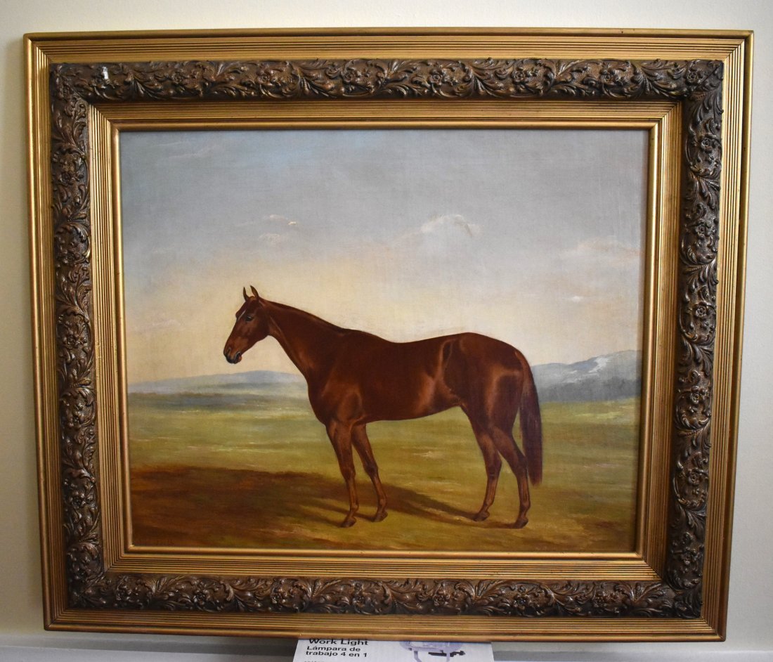 THOMAS J. SCOTT, KENTUCKY, PORTRAIT OF A HORSE (1 of 4)