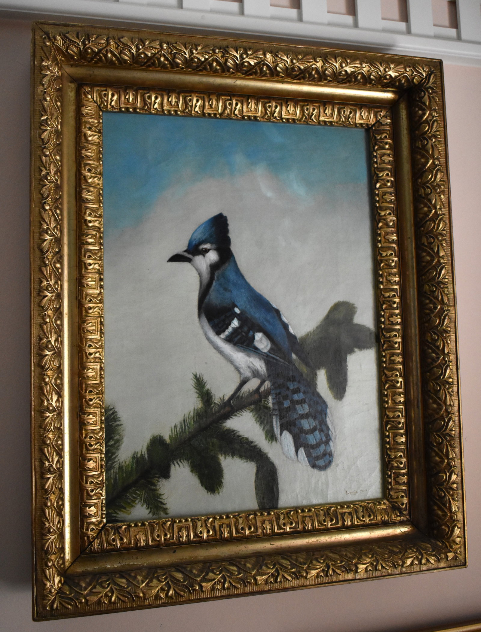 AMERICAN SCHOOL, BLUE JAY ON PINE BRANCH (1 of 2)