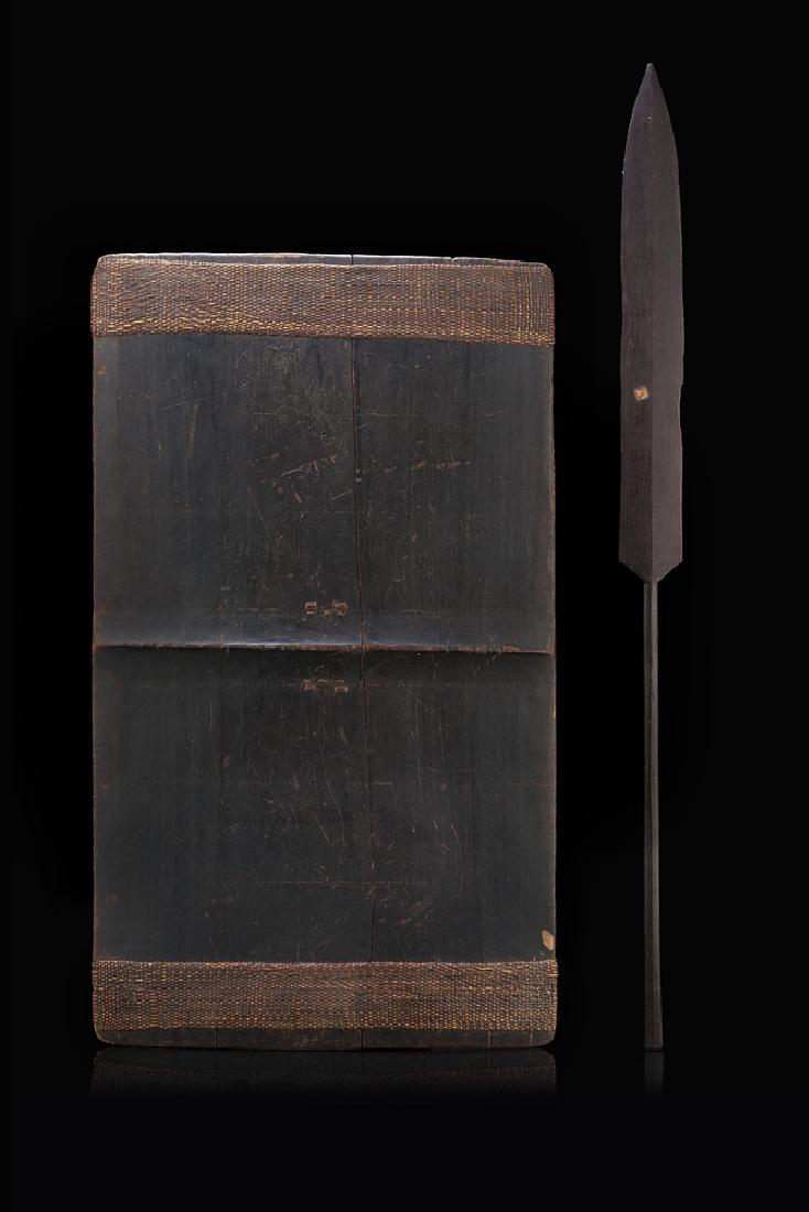Oceanic art, 19th century. Wood lance and shield: Oceanic art, 19th century. Wood lance and shield (defects)