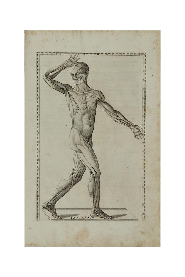 EUSTACHI, Bartolomeo (?1500-1574) - Tabulae anatomicae. (1 of 1)