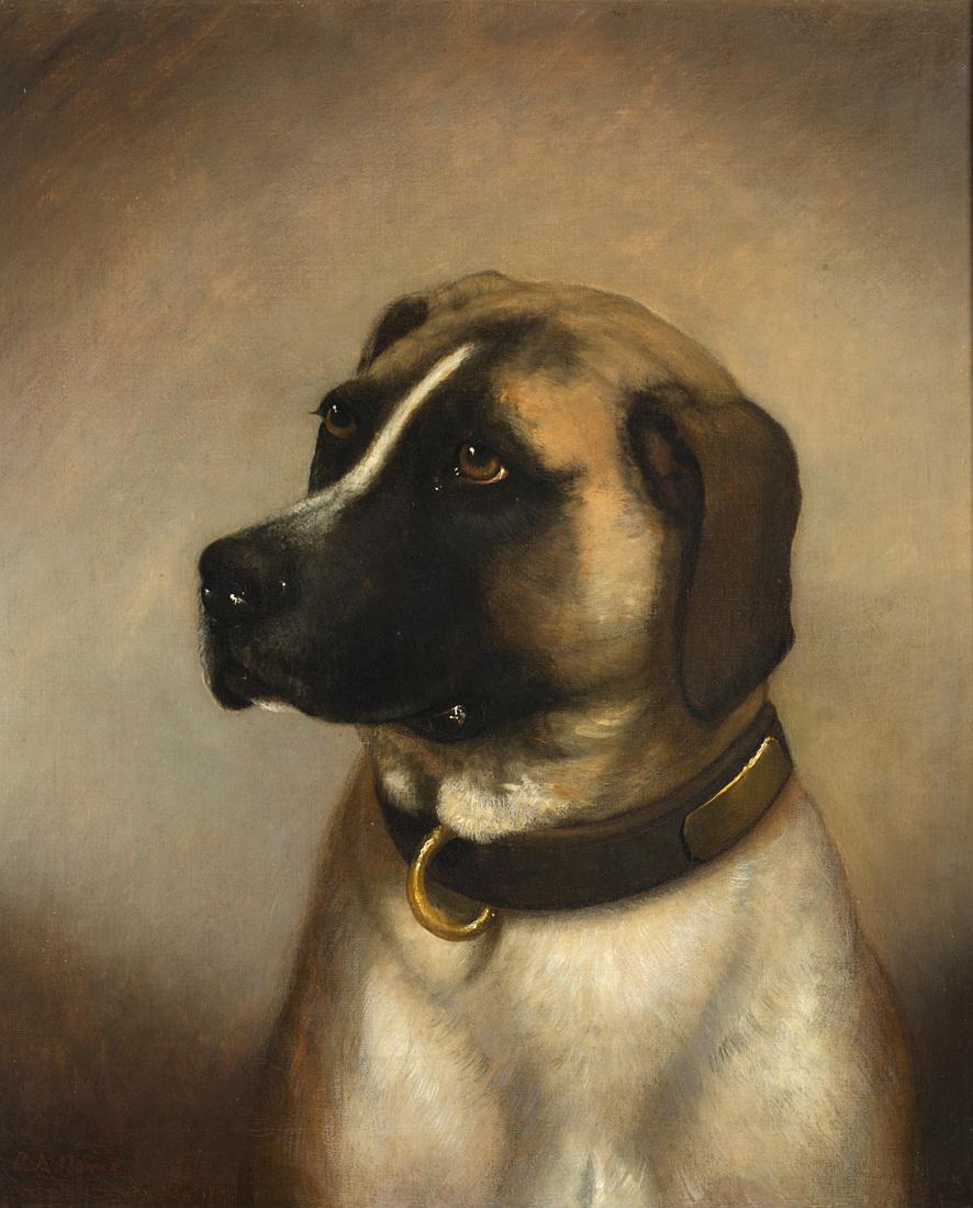 B. A. Howe "Dog with a collar" oil on canvas (cm 60x50) (1 of 1)