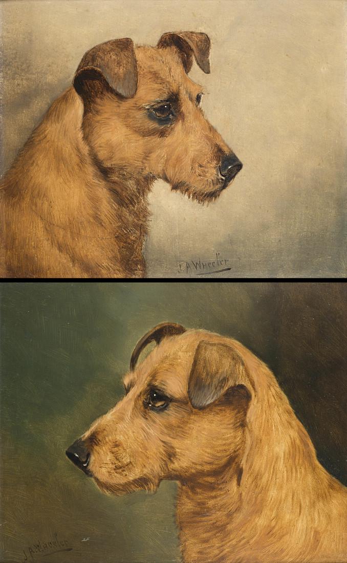 John Alfred Wheeler (1821 - 1903) "Portrait of Fox (1 of 1)