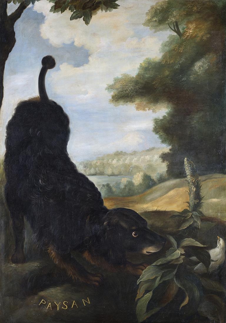 19th-century French school "Paysan, Springer Spaniel" (1 of 1)