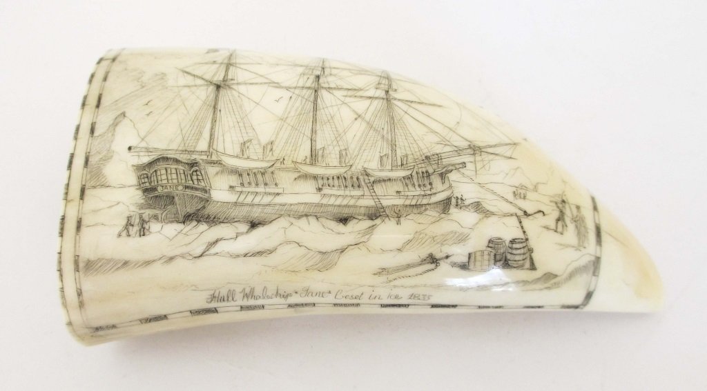 19th CENTURY WHALES TOOTH SCRIMSHAW - THE JANE - HULL: United States law restricts the importation of all ivory. Please do not bid on this item if you live in the US..19th CENTURY WHALES TOOTH SCRIMSHAW - THE JANE OUT OF HULL 4.75 inch whale tooth. A very
