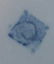 2336: Lot assorted blue & white china: 6 flo blue & gil - 6