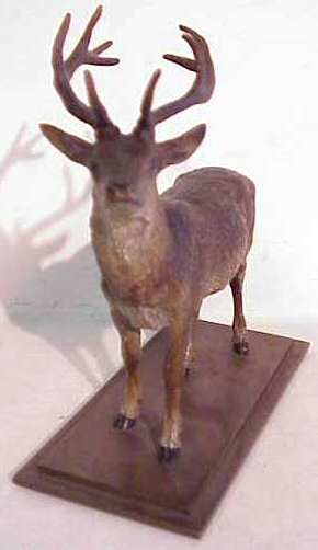 Vienna Bronze Figure of a Deer, polychome over c - 2