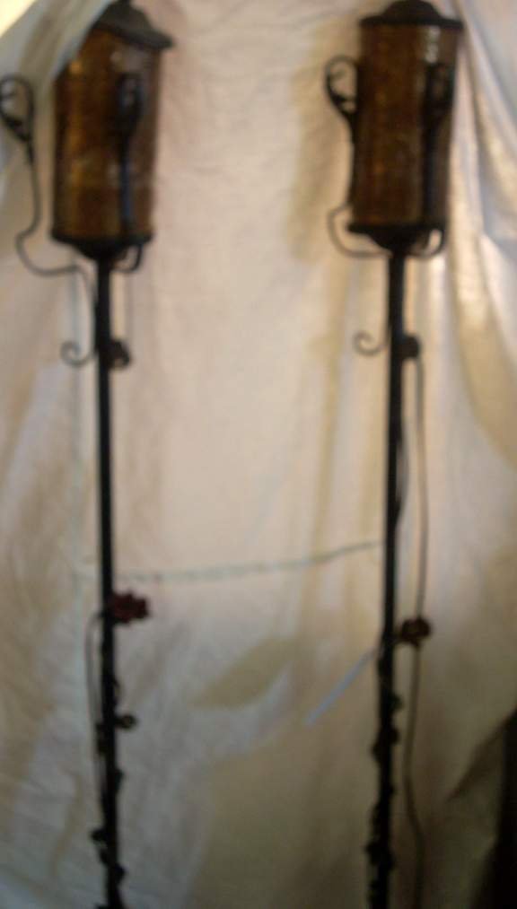 Pair of iron floor lamps with floral decoration