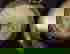 item-744601=5