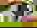 item-989395=2