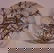 2237: 3 PC RED & WHITE TRANSFERWARE: TEAPOT (8"H, CHIPP - 2