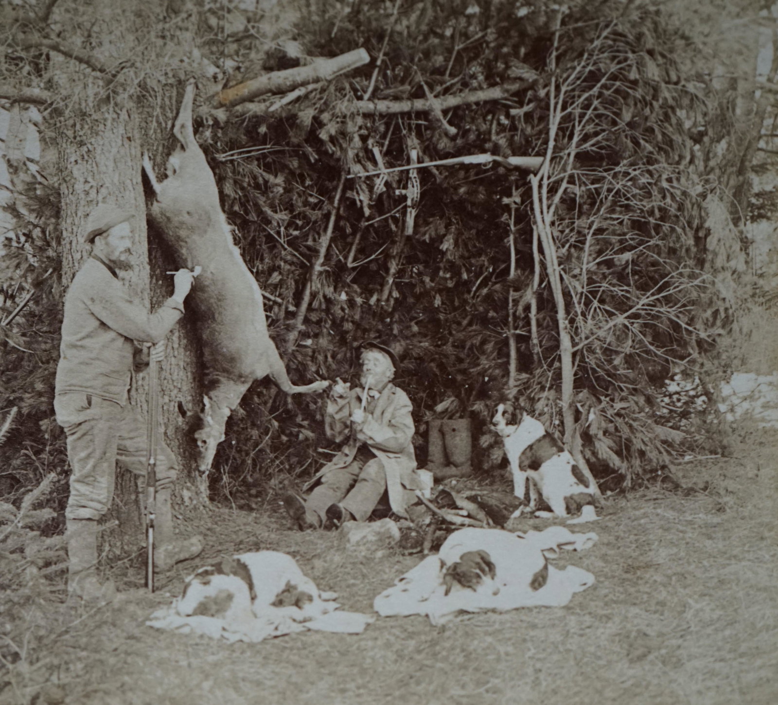 lot of 2 real photos, 1889 in camp and: lot of 2 real photos, 1889 in camp in pines1898 pure fresh milk